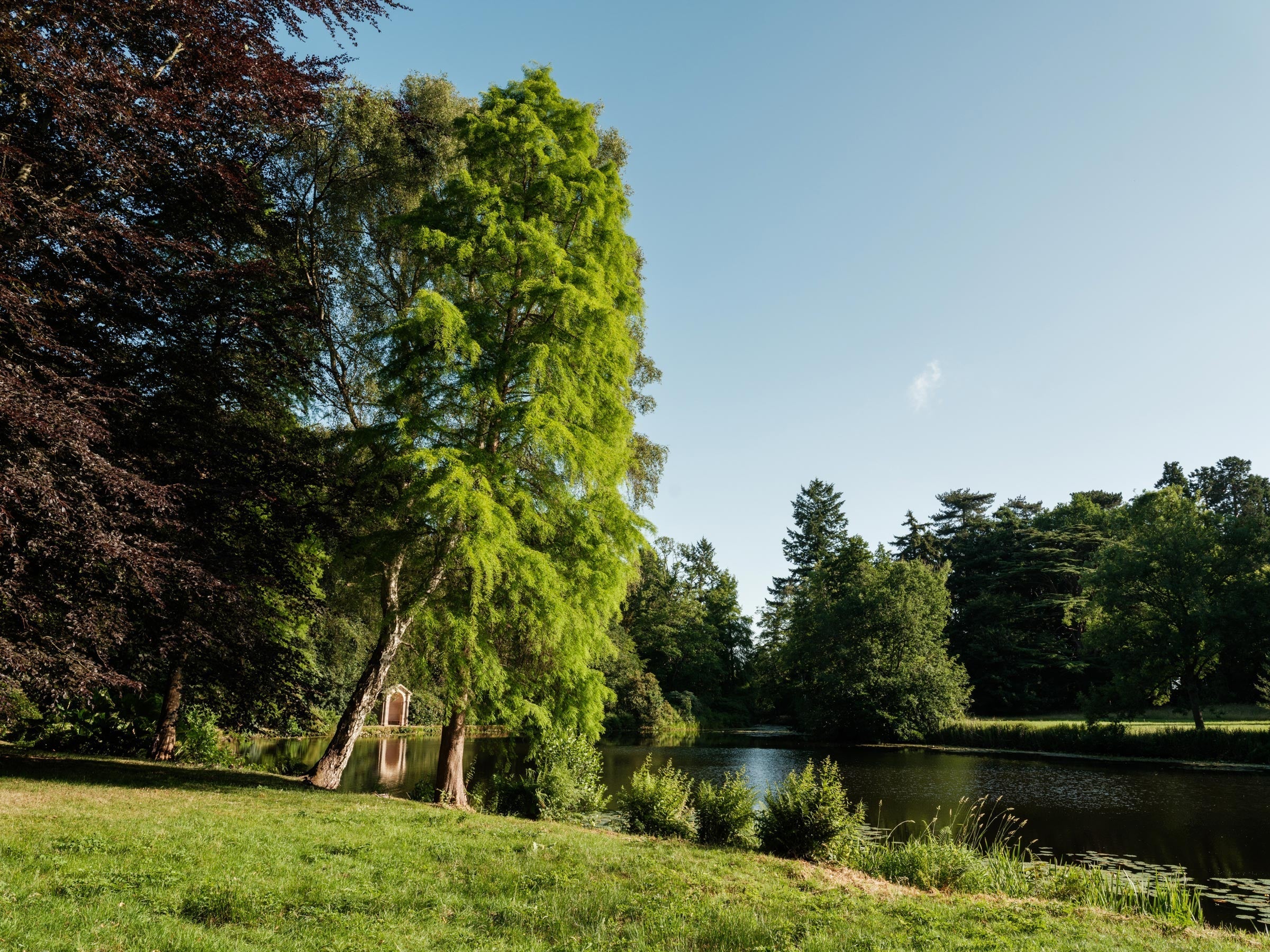 Bringing The Shire Home: Burgschneider Announces The Brandywine Festival’s UK Debut at Weston Park in 2026