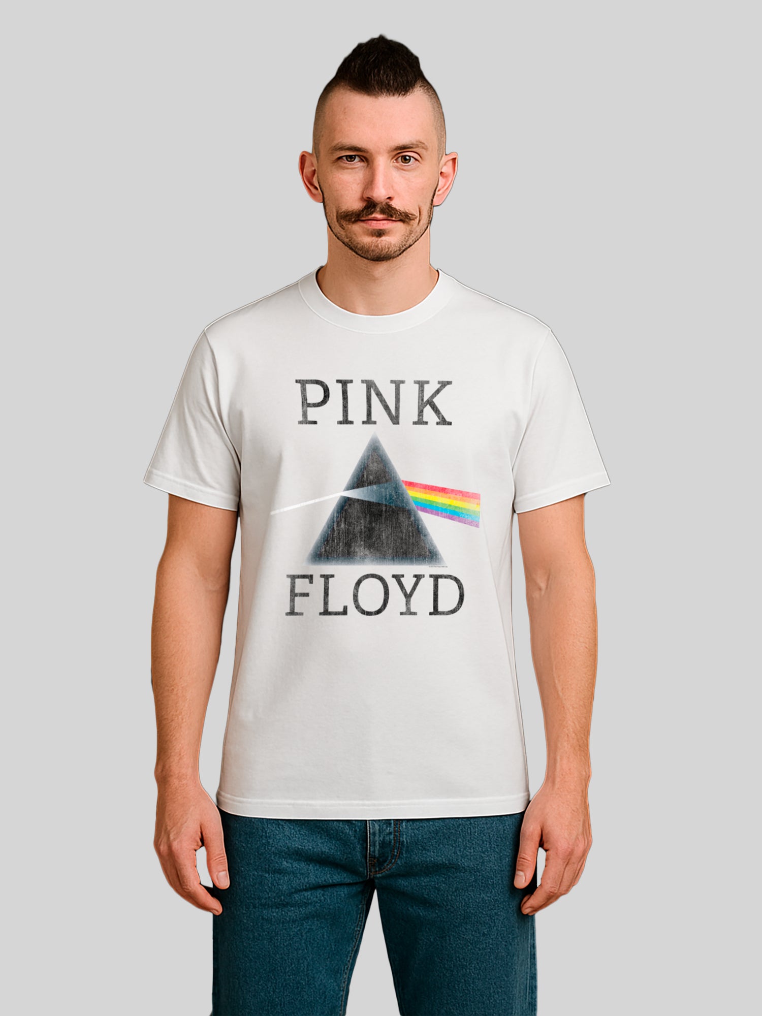Pink Floyd Dark Side Of The Moon Prism Men's Organic T-Shirt