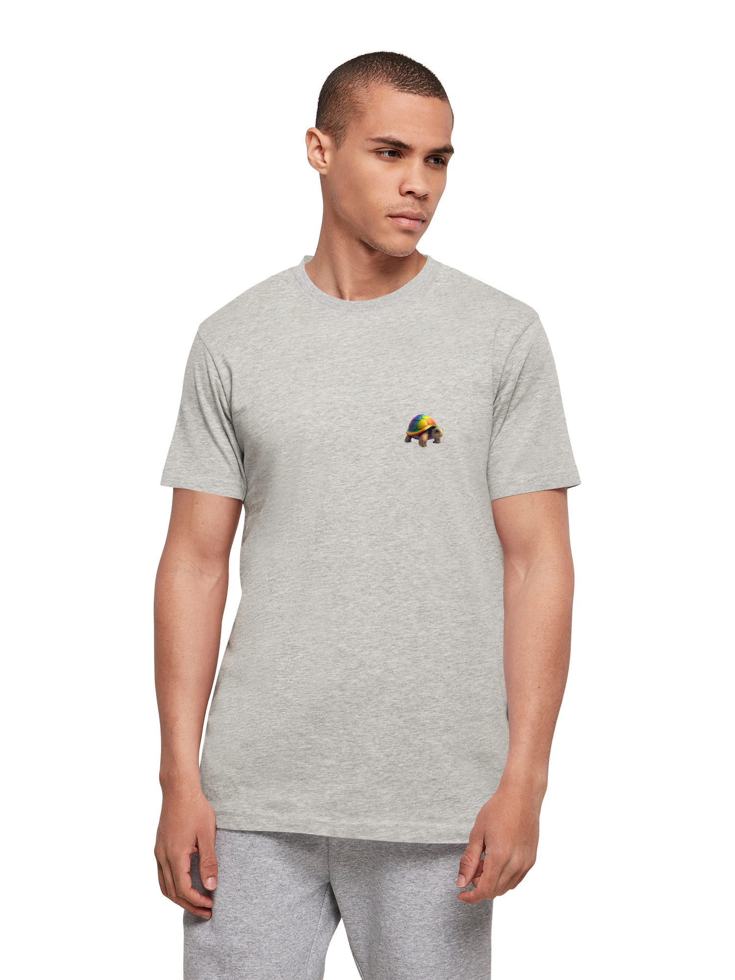 Camiseta de tortuga de arcoiris