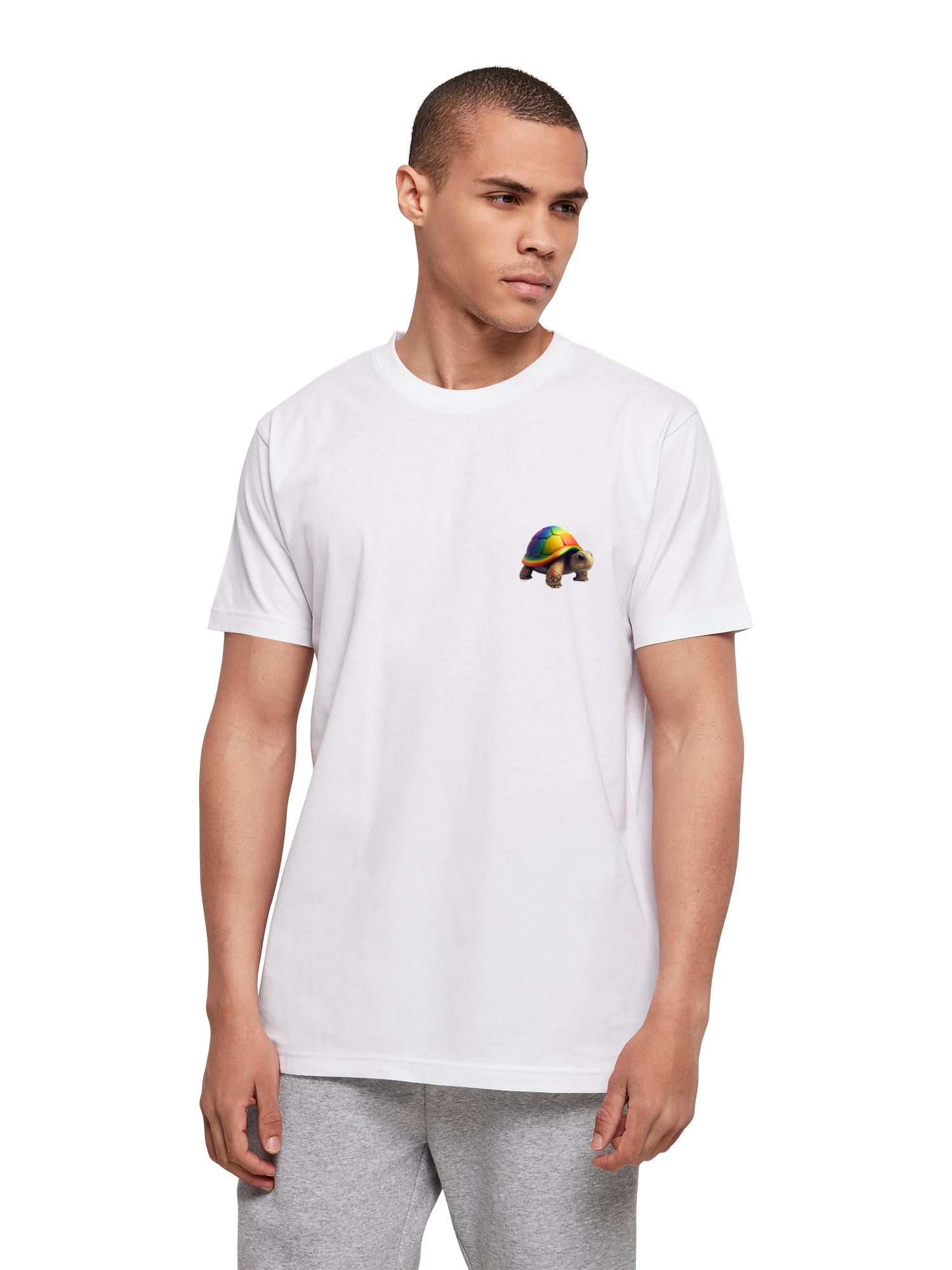 Camiseta de tortuga de arcoiris