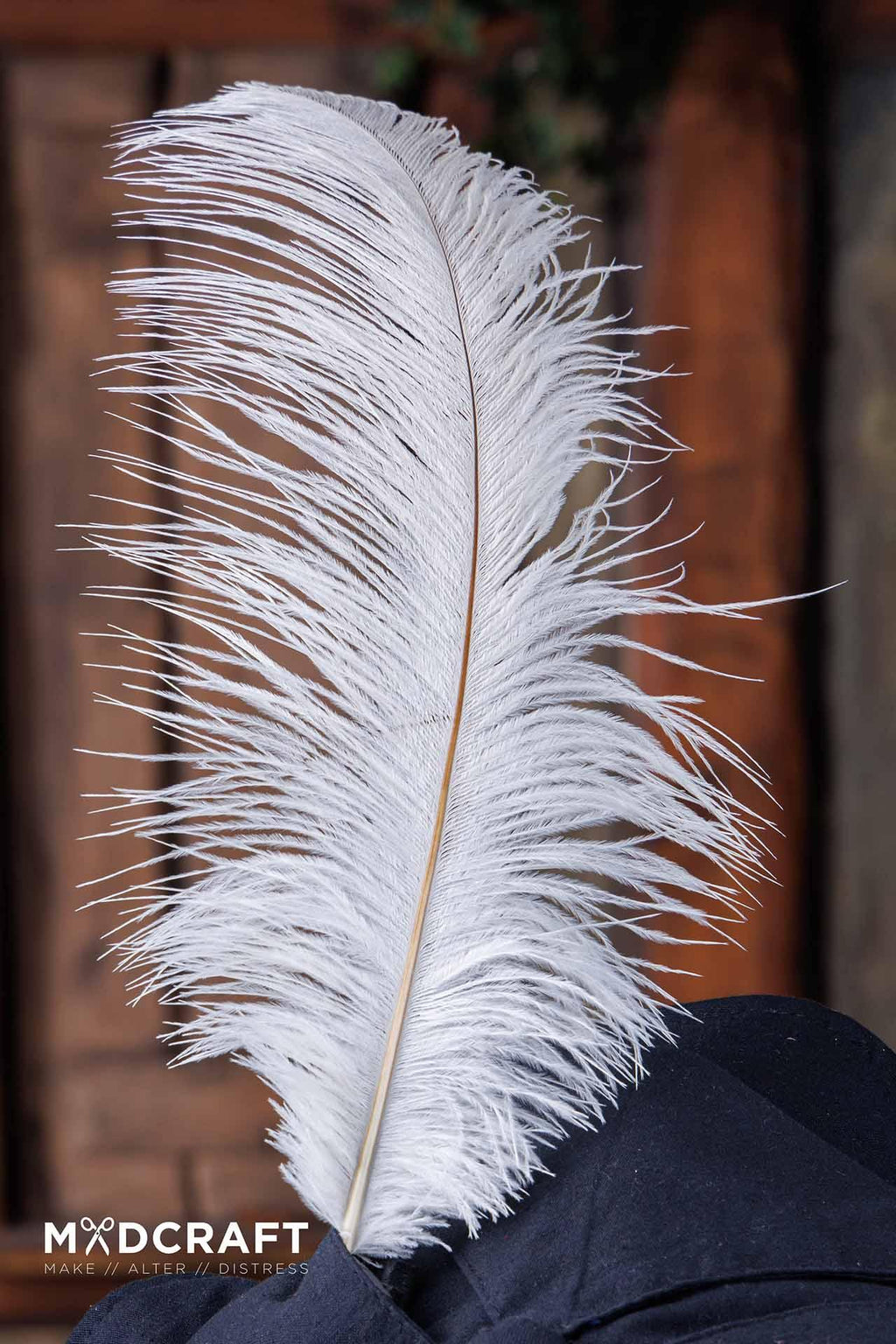 Pluma de avestruz 45-50cm Blanco