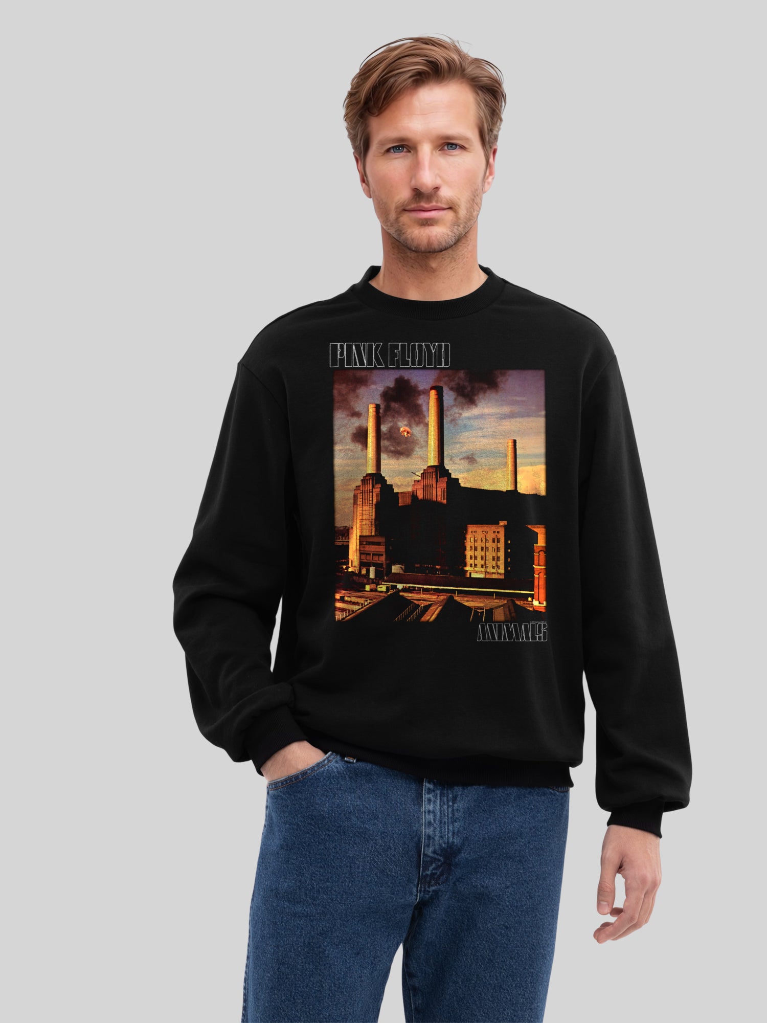 Pink Floyd Animal Cover Men's Organic Sweatshirt