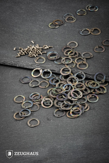 Flatring With Rivets Loose Rings 1 kg 9 mm Titanium