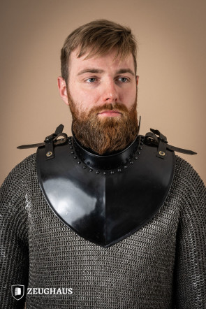 Gorget with Collar Burnished